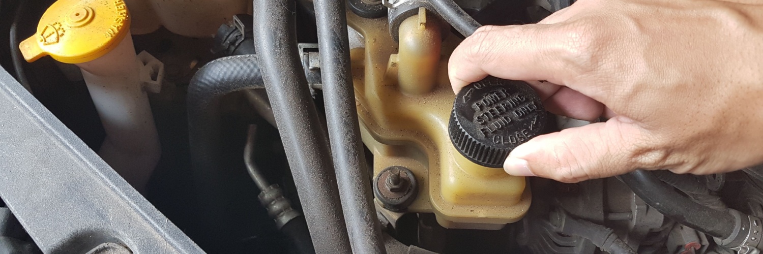 Mechanic Conducting Power Steering Service